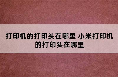 打印机的打印头在哪里 小米打印机的打印头在哪里